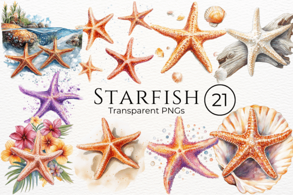 Download Starfish Watercolor Cliparts - Cliparts Collection